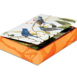 The Met Store Audubon Birds Notecards