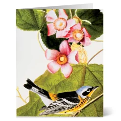 The Met Store Audubon Birds Notecards