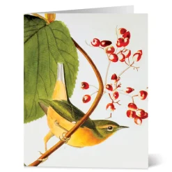 The Met Store Audubon Birds Notecards