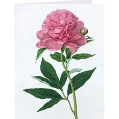 The Met Store Botanical Illustrations Notecards