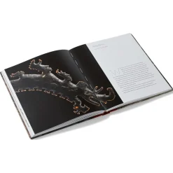 The Met Store Lives of the Gods: Divinity in Maya Art