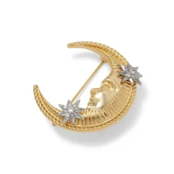 The Met Store Spanish Day and Night Moon Brooch