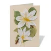 The Met Store Studies of Magnolias Quilled Card