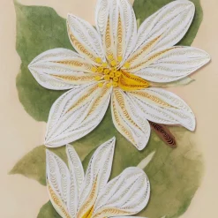 The Met Store Studies of Magnolias Quilled Card