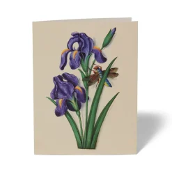 The Met Store The Met Cloisters Garden Notecards