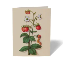 The Met Store The Met Cloisters Garden Notecards