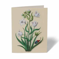 The Met Store The Met Cloisters Garden Notecards