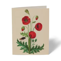 The Met Store The Met Cloisters Garden Notecards