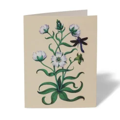 The Met Store The Met Cloisters Garden Notecards