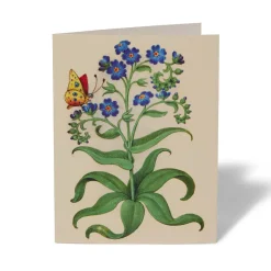 The Met Store The Met Cloisters Garden Notecards