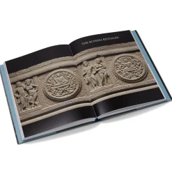 The Met Store Tree & Serpent: Early Buddhist Art in India
